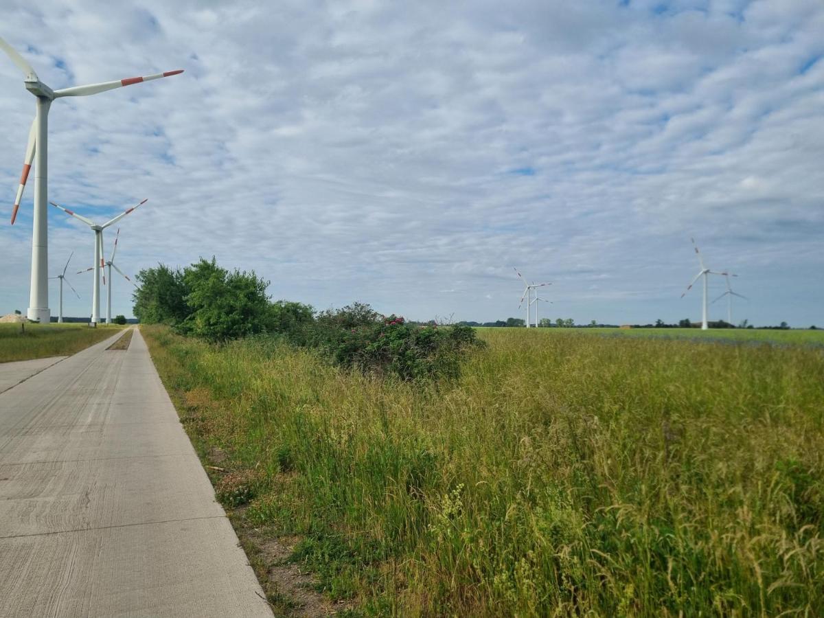 Haus Kabelitz Lägenhet Exteriör bild